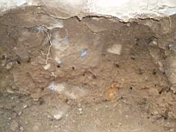 coolross 2005.jpg